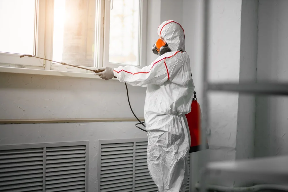 Professional mold remediation services in South Sutton, NH